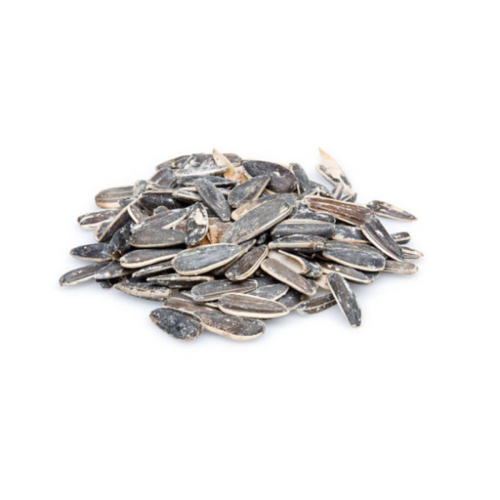 Ηλιόσπορο Αλμυρός