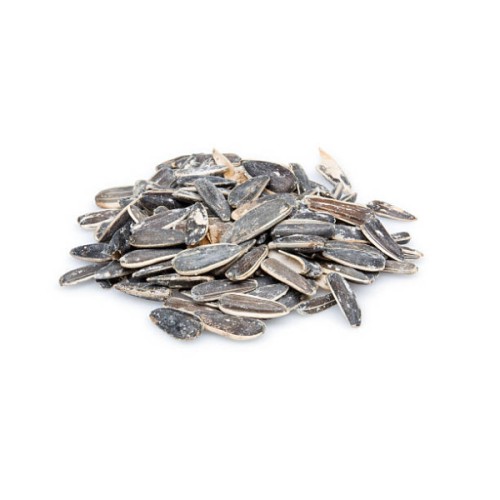 Ηλιόσπορο Αλμυρός