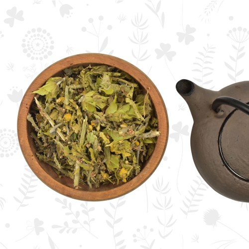 Βότανα του Ολύμπου