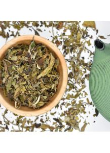 Τσάι Πράσινο - Biancha Βιολογικό