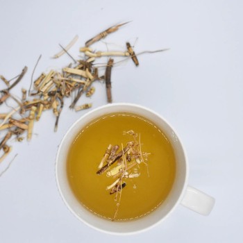 Αγριάδα (Elymus repens ή Agropyron repens) – Ένα βότανο για την υγεία του ουροποιητικού συστήματος
