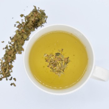 Γκίνγκο Μπιλόμπα (Ginkgo biloba)