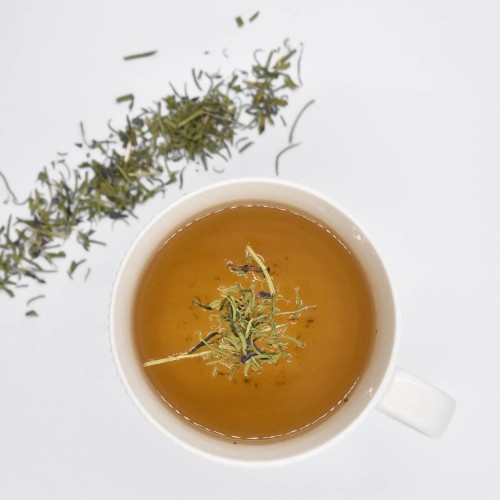 Ύσσωπος Βιολογικός