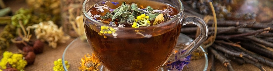 Φθινόπωρο & Βότανα: 12 φυσικοί σύμμαχοι για ενέργεια, άμυνα και καλή διάθεση