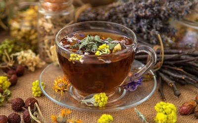 Φθινόπωρο & Βότανα: 12 φυσικοί σύμμαχοι για ενέργεια, άμυνα και καλή διάθεση