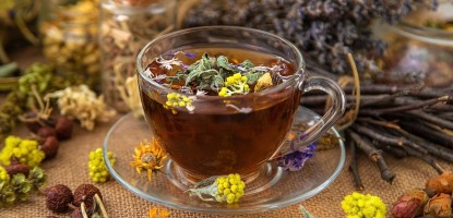 Φθινόπωρο & Βότανα: 12 φυσικοί σύμμαχοι για ενέργεια, άμυνα και καλή διάθεση